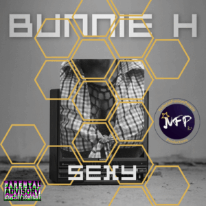 Cover Bunnie H- N.F.P -Single